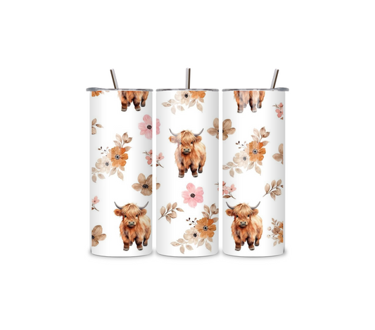 Adorable Highland Cow